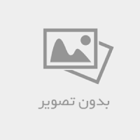 استاندارد وب ایران